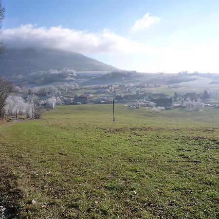 The Originals City, Hotel Rey Du Mont Sion, Saint-Julien-En-Genevois Sud Exteriör bild