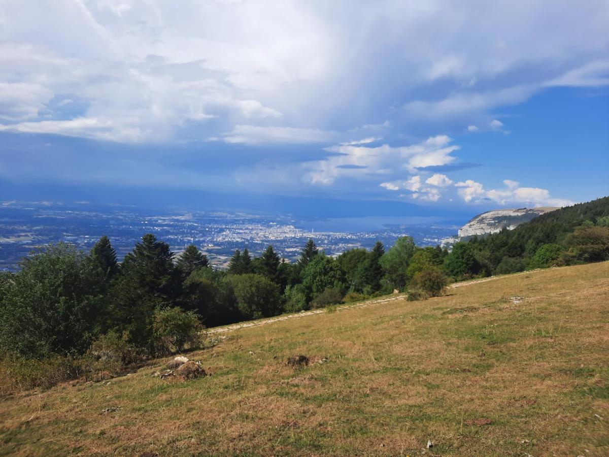 The Originals City, Hotel Rey Du Mont Sion, Saint-Julien-En-Genevois Sud Exteriör bild